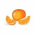 Orange fresh fruit in piece and sliced illustration editable vector isolated in white background Royalty Free Stock Photo