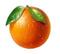 Orange fresh fruit with two leaves and water dropl