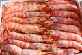 Orange frozen langoustines, close up view Royalty Free Stock Photo