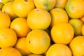 Orange fruiit background. Citrus group. Market place Royalty Free Stock Photo