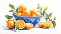 Orange Fruit Arrangement Royalty Free Stock Photo