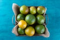 Orange fruit in the basket. Tropical fruits. Top view