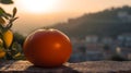 An orange fruit with blurry urban view in the evening for farm concept, harvesting, commercial, advertisement or backdrops