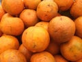 orange fruit bucket,Bhutan.