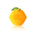 Orange fruit concept design pixel style on the white background