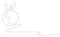 Orange fruit continuous line drawing, vector illustration Royalty Free Stock Photo