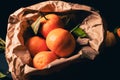 closeup of orange fruits on dark background