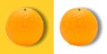 Orange fruit with drops of water isolated from white and yellow background Royalty Free Stock Photo