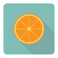 Orange fruit flat icon.