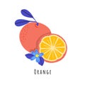 Orange fruit flat vector illustration Royalty Free Stock Photo