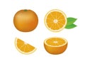 Fresh juicy orange citrus fruit icon set vector isolated on a white background Royalty Free Stock Photo