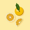 Orange fruit free vector illustrations Royalty Free Stock Photo