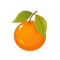 Orange fruit illustration Royalty Free Stock Photo