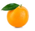 Orange fruit isolated on a white background.