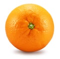 Orange fruit isolated on white background. Bottom view. File contains clipping path Royalty Free Stock Photo
