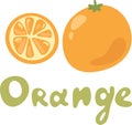 Orange fruit without leaf. Slice and whole. Vector illustration for cooking book with doodle cute text