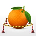 Orange fruit located in restricted area