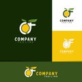 Orange fruit logo Royalty Free Stock Photo