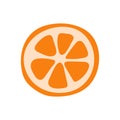 Orange fruit. Mandarin citrus. Hand drawn doodle vector sketch. Sweet food. Tangerine