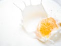 Orange fruit with milk splash Royalty Free Stock Photo