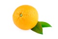 Orange Fruit Royalty Free Stock Photo