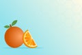 An orange fruit and orange slice on blue background with honeycomb pattern. Vector illustration Royalty Free Stock Photo