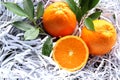 Orange fruit pile and half piece with green leaves fruits or vegetables on white shredded paper closeup. Royalty Free Stock Photo