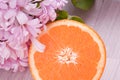 Orange fruit and pink blossom flower Royalty Free Stock Photo