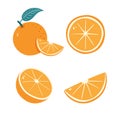 Orange Fruit. Segmented tangerine. Sliced Citrus illustrations Set