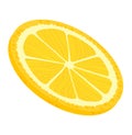 Orange fruit slice, ripe citrus organic foor with vitamin isolated on white, vector illustration. Juicy fresh natural