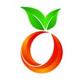 Orange fruit sphere logo icon on white background vector illustration Royalty Free Stock Photo
