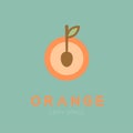 Orange fruit with spoon logo icon set design illustration Royalty Free Stock Photo