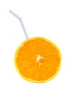 Orange fruit and straw Royalty Free Stock Photo