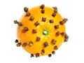 Orange fruit studded with clove spice