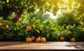 Orange fruit on table near garden background. Closeup citrus fruits on wood garden table. Organic oranges food with vitamins and Royalty Free Stock Photo