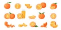 Orange fruit. Tropical tangerine and clementine slices, healthy whole mandarin and tangerine pieces and skin cartoon flat