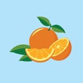 Orange fruit vector