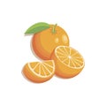 Orange fruit. Vector slices oranges that are segmented. Citrus illustration with leaves isolated Royalty Free Stock Photo