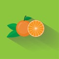 Orange Fruit Nature Logo Icon Symbol Flat Design