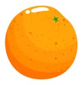 Orange fruit, vegetarian food isolated on white, vector illustration. Sweet ripe tropical citrus, healthy fresh design Royalty Free Stock Photo