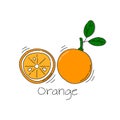 Orange fruit whole and cut in half on white background. Cartoon sketch graphic design. Doodle style with black contour line. Hand Royalty Free Stock Photo