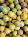 Orange is a fruit for worshiping Buddha images and sacred things of Chinese descent on the occasion of the New Year. Royalty Free Stock Photo