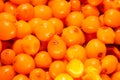 Orange fruits of Hippophae rhamnoides, common name sea-buckthorn