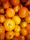 orange fruits - pile stack of oranges Royalty Free Stock Photo