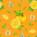 Orange fruits ripe with green leaves. Watercolor drawing. Handwork. Tropical fruit. Healthy food. Seamless pattern for design Royalty Free Stock Photo