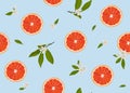 Orange fruits slice seamless pattern with flowers and leaves on pastel blue background. Grapefruit citrus fruit
