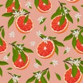 Orange fruits slice seamless pattern with flowers and leaves on rose pink background. Grapefruit citrus fruit vector