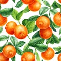 Orange fruits and tangerine, leaves on isolated white background. Watercolor botanical illustration. Seamless pattern.