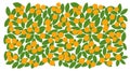 Orange fruits tree leaves background. Orchard garden harvest. Vector. Very simple picturesque horizontal. Hand drawn