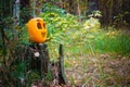 Orange funny Halloween pumpkin in the autumn forest on an old stump. Jack o lantern Royalty Free Stock Photo